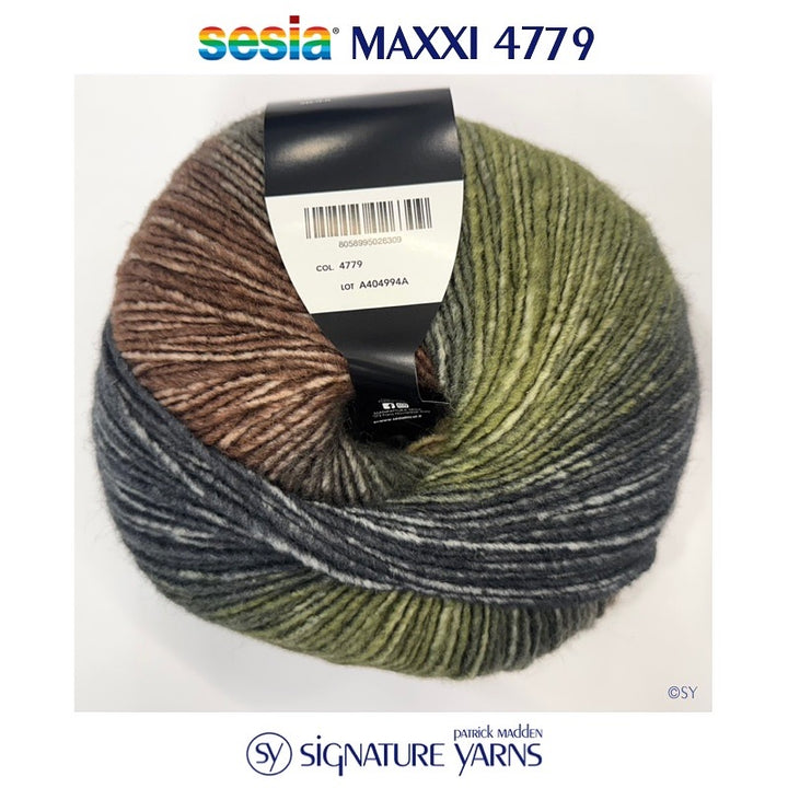 Sesia Maxxi Knitting & Crochet Yarn Shade 4779 – Signature Yarns